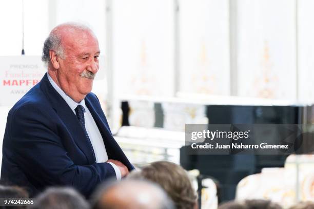 Vicente del Bosque attends Mapfre Foundation Awards 2017 at Casino de Madrid on June 14, 2018 in Madrid, Spain.