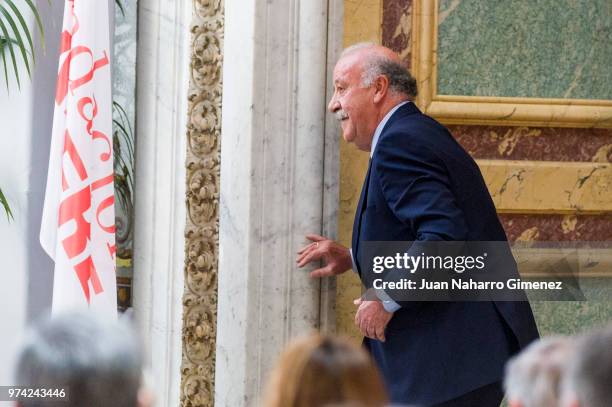 Vicente del Bosque attends Mapfre Foundation Awards 2017 at Casino de Madrid on June 14, 2018 in Madrid, Spain.