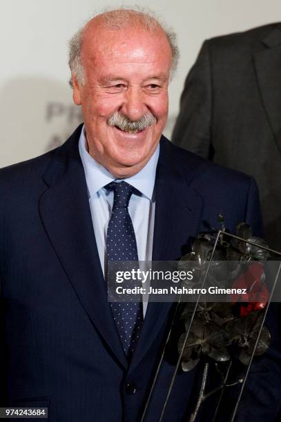 Vicente del Bosque attends Mapfre Foundation Awards 2017 at Casino de Madrid on June 14, 2018 in Madrid, Spain.