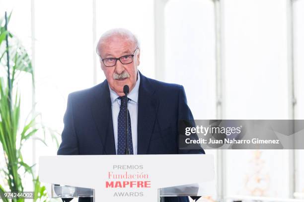 Vicente del Bosque attends Mapfre Foundation Awards 2017 at Casino de Madrid on June 14, 2018 in Madrid, Spain.