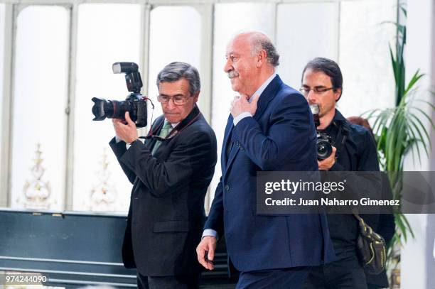 Vicente del Bosque attends Mapfre Foundation Awards 2017 at Casino de Madrid on June 14, 2018 in Madrid, Spain.