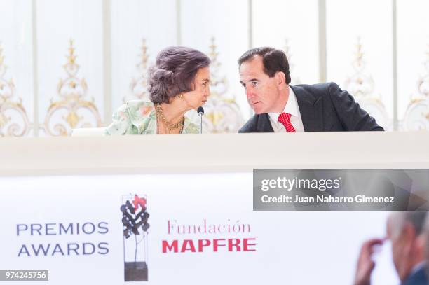 Queen Sofia attends Mapfre Foundation Awards 2017 at Casino de Madrid on June 14, 2018 in Madrid, Spain.