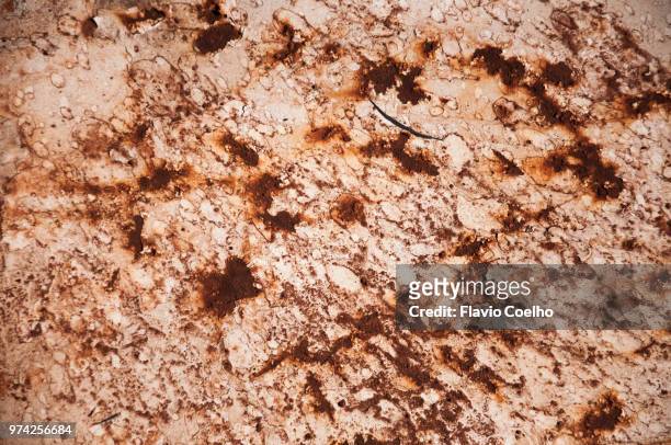 rusty metal texture - flavio coelho stock pictures, royalty-free photos & images