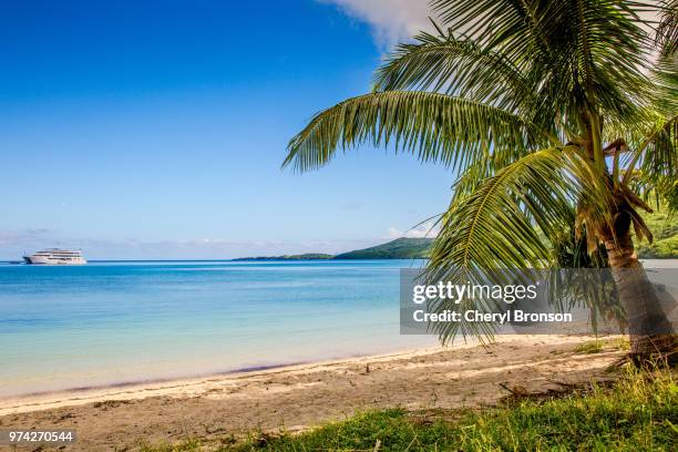 tropical beach with a palm tree - südsee stock-fotos und bilder