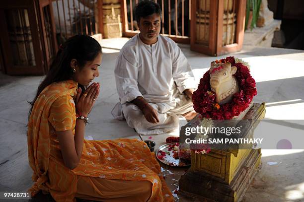 India-science-medicine-research-cows, FEATURE by Rupam Jain Nair In this February 1, 2010 photograph, an Indian woman performs the Nandi Puja ritual...