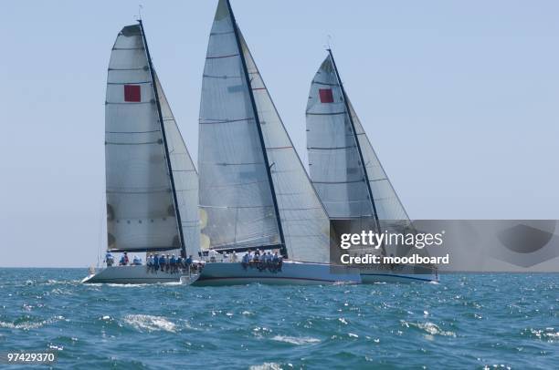 three yachts compete in team sailing event, california - squadra di vela foto e immagini stock