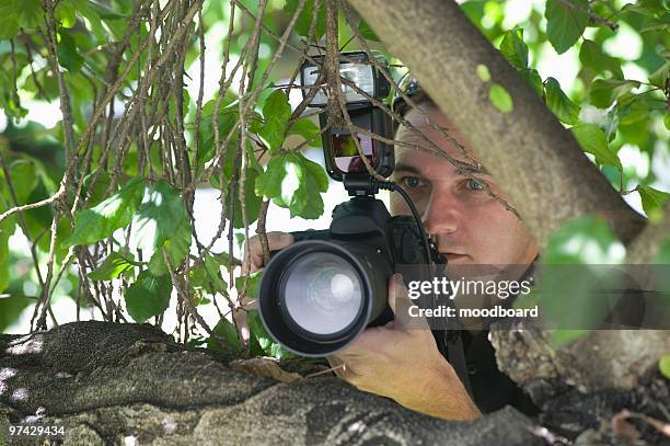 paparazzi photographer - telephoto lens stock pictures, royalty-free photos & images