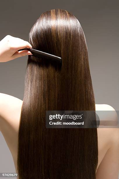 woman combing long brown hair, rear view - glattes haar stock-fotos und bilder