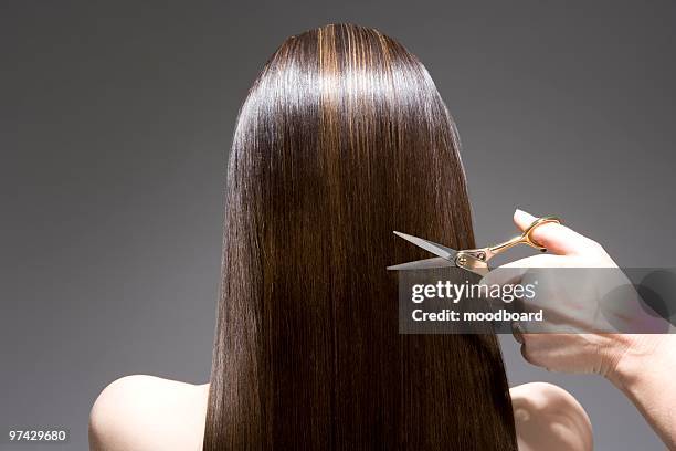 woman having haircut, rear view - cutting long hair stock pictures, royalty-free photos & images