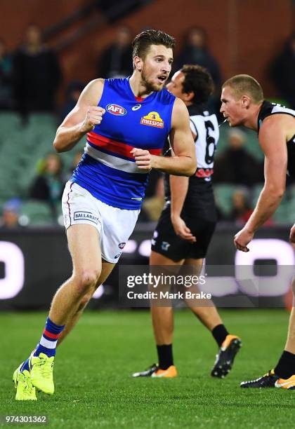 Marcus Bontempelli of the Bulldogs celebrates a goal during the round 13 AFL match between Port Adelaide Power and the Western Bulldogs at Adelaide...