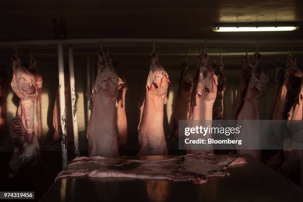 Pig carcasses hang from an overhead conveyor at the Obrador Muoz meat wholesale and distribution center in San Luis Potosi, Mexico, on Friday, June...