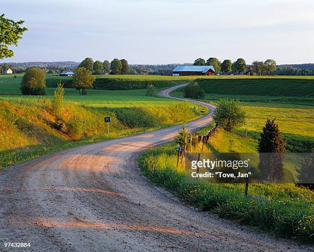 a country road in a cultural landscape, sweden. - västra götaland county photos et images de collection