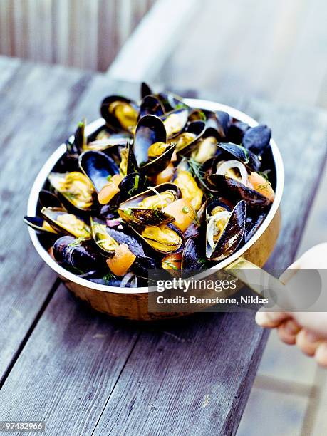 clams in a saucepan on a table, sweden. - mussels stock pictures, royalty-free photos & images