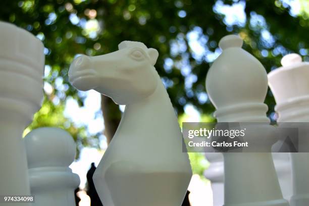 caballo blanco - caballo blanco stock pictures, royalty-free photos & images