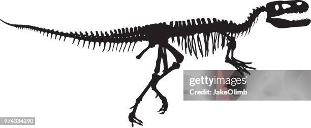 illustrations, cliparts, dessins animés et icônes de silhouette d’os de dinosaure - vertebras