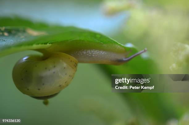 defying gravity - defying gravity stock pictures, royalty-free photos & images