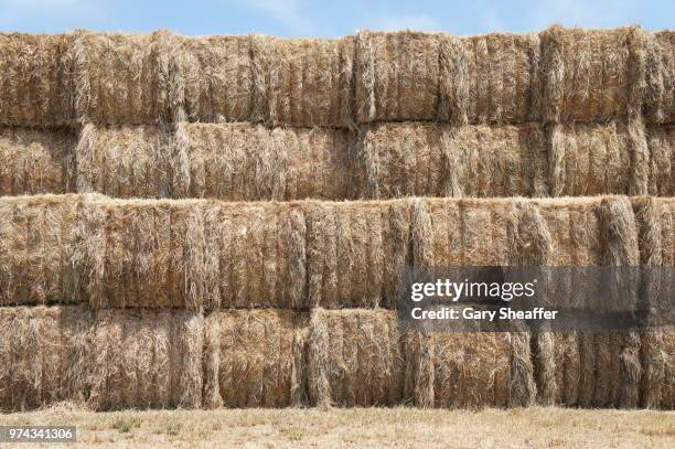 baled hay - baled stock pictures, royalty-free photos & images