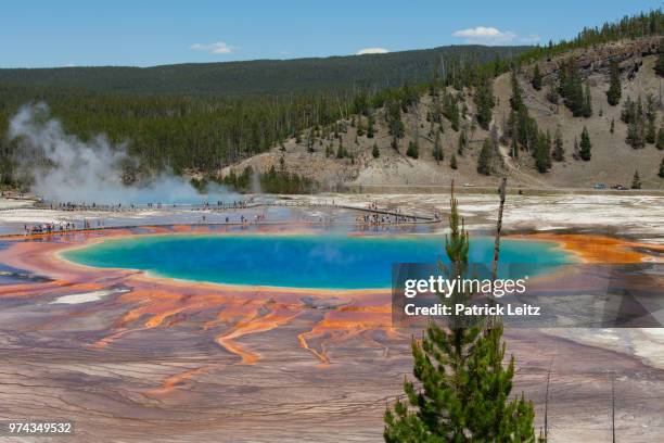 grand prismatic spring landscape, yellowstone national park, wyoming, usa - midway geyser basin stock pictures, royalty-free photos & images