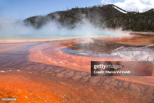 grand prismatic spring, yellowstone national park, wyoming, usa - midway geyser basin stock pictures, royalty-free photos & images