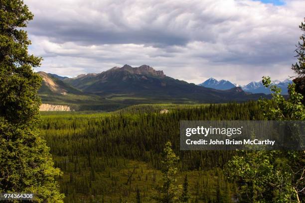 denali landscape - brian mccarthy stock pictures, royalty-free photos & images