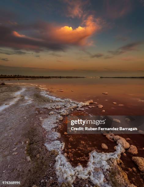 laguna salada - salada stock pictures, royalty-free photos & images