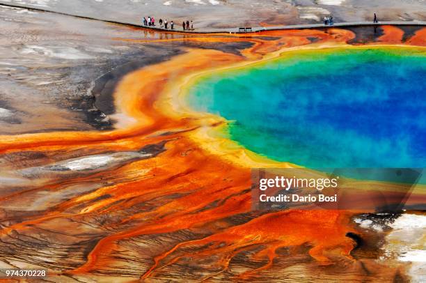 geothermal pool in yellowstone national park, wyoming, usa. - cuenca-del-géiser-midway fotografías e imágenes de stock