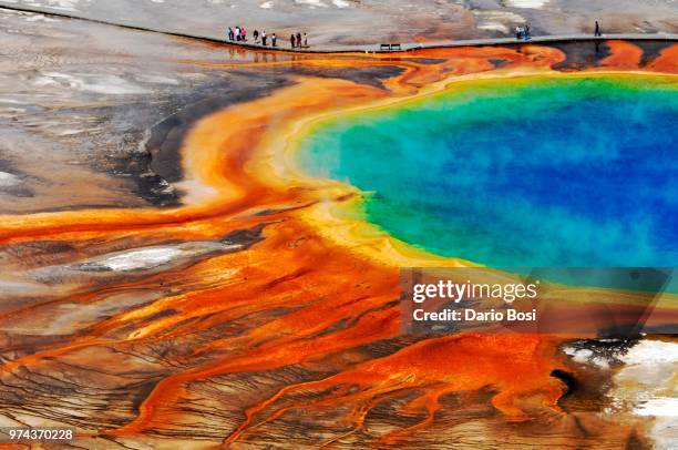 geothermal pool in yellowstone national park, wyoming, usa. - midway geyser basin stock pictures, royalty-free photos & images