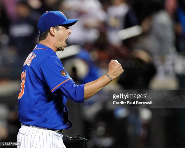 Relief pitcher Anthony Swarzak of the New York Mets reacts to a double play that ended an interleague MLB baseball game against the New York Yankees...
