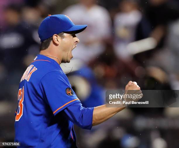Relief pitcher Anthony Swarzak of the New York Mets reacts to a double play that ended an interleague MLB baseball game against the New York Yankees...