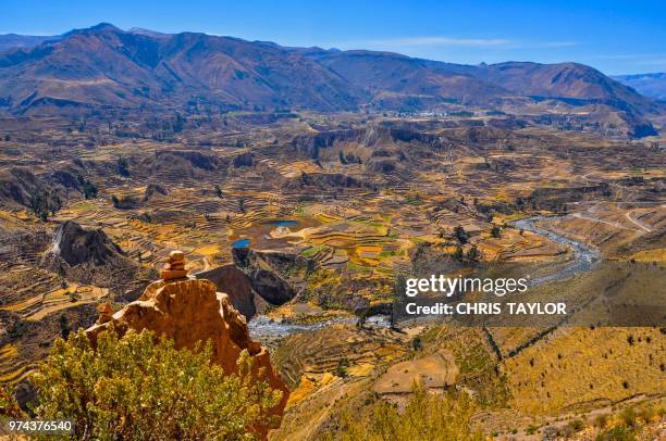 colca canyon - colca stock pictures, royalty-free photos & images