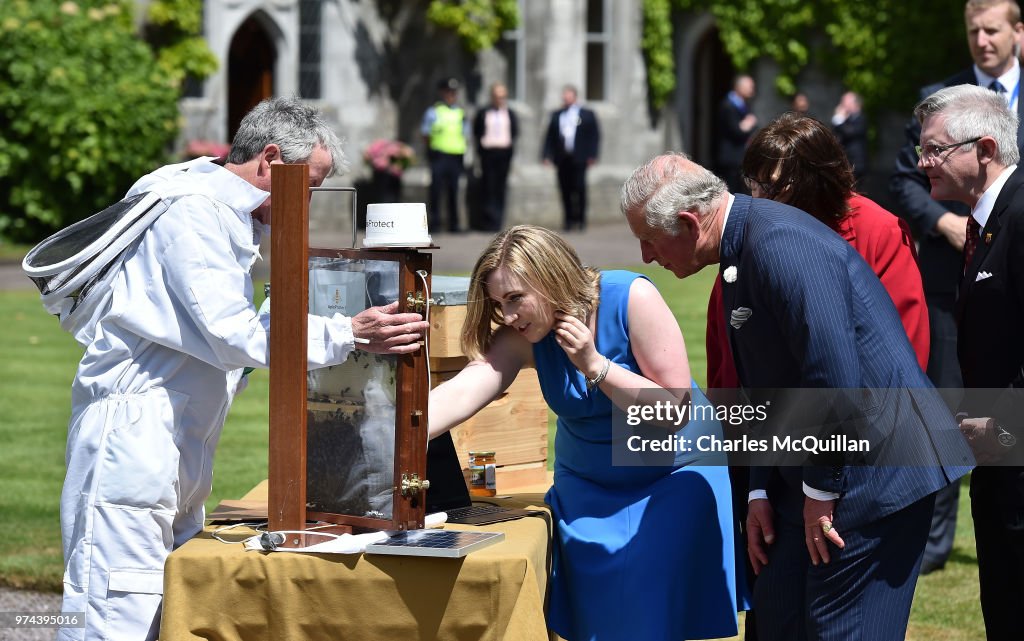 Prince Of Wales And Duchess Of Cornwall Visit Ireland and Northern Ireland