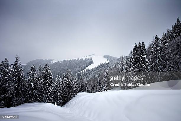 winter landscape.  - tobias gaulke stock-fotos und bilder