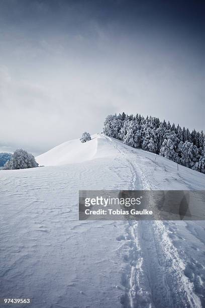 a typical winter landscape in switzerland. - tobias gaulke stock-fotos und bilder