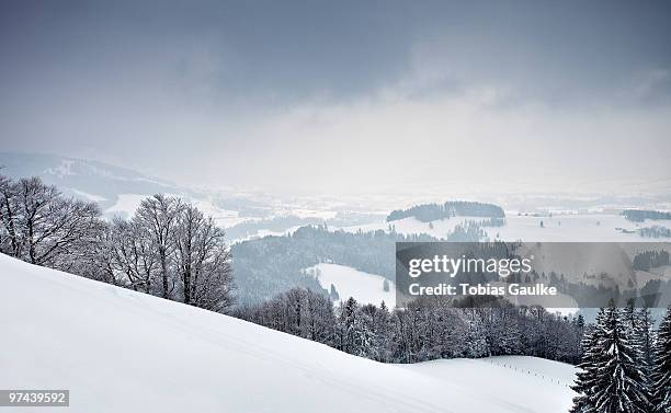 snowshoeing hike tour   - tobias gaulke foto e immagini stock