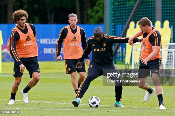 Marouane Fellaini midfielder of Belgium and Toby Alderweireld defender of Belgium and Romelu Lukaku forward of Belgium and Jan Vertonghen defender of...