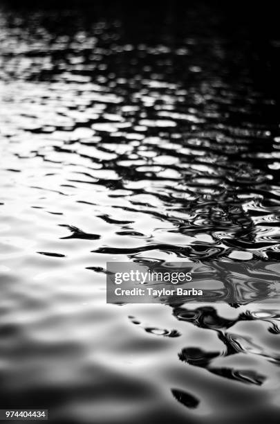 water fading off - barba stock pictures, royalty-free photos & images