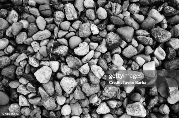 pebbles on the ground - barba stock pictures, royalty-free photos & images