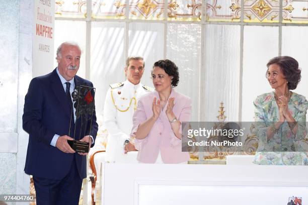 Queen Sofia of Spain, Magdalena Valerio and Vicente del Bosque attends Mapfre Foundation Awards 2017 at Casino de Madrid on June 14, 2018 in Madrid,...