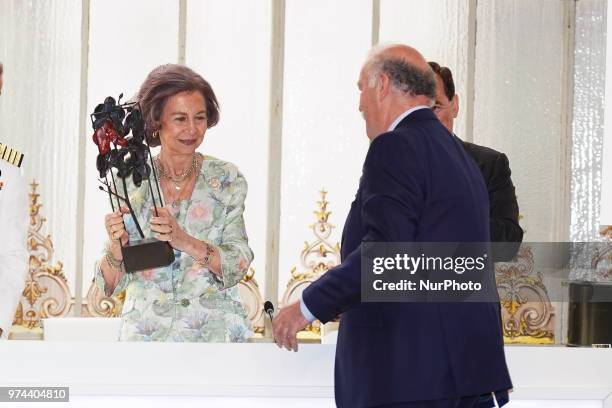 Queen Sofia of Spain and Vicente del Bosque attends Mapfre Foundation Awards 2017 at Casino de Madrid on June 14, 2018 in Madrid, Spain.