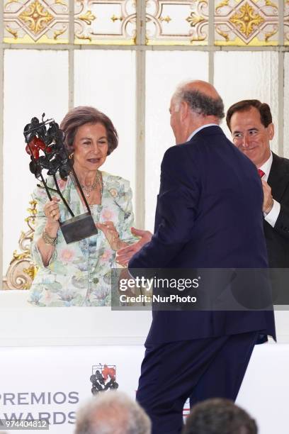 Queen Sofia of Spain and Vicente del Bosque attends Mapfre Foundation Awards 2017 at Casino de Madrid on June 14, 2018 in Madrid, Spain.