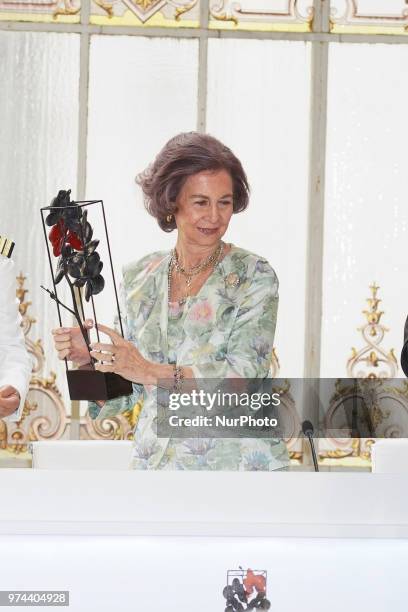 Queen Sofia of Spain attends Mapfre Foundation Awards 2017 at Casino de Madrid on June 14, 2018 in Madrid, Spain.