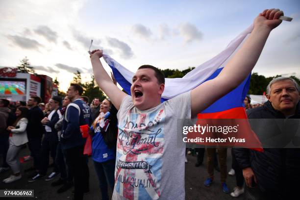 Fan of Russia celebrates after the fourth goal of his team during the 2018 FIFA World Cup Russia group A match between Russia and Saudi Arabia at...