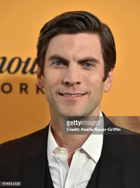 Actor Wes Bentley arrives at the premiere of Paramount Pictures' 'Yellowstone' at Paramount Studios on June 11, 2018 in Hollywood, California.