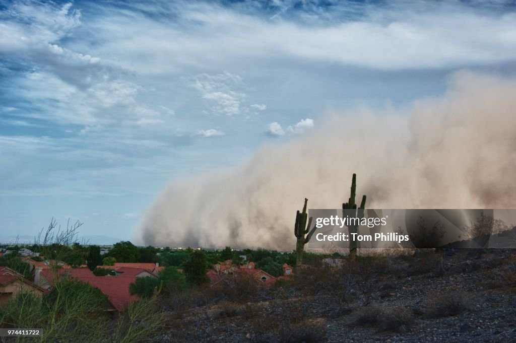 Saguaros and Dust Cloud