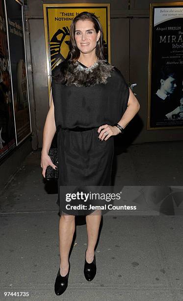 Actress Brooke Shields attends the opening night of "A Behanding In Spokane" on Broadway at the Gerald Schoenfeld Theatre on March 4, 2010 in New...