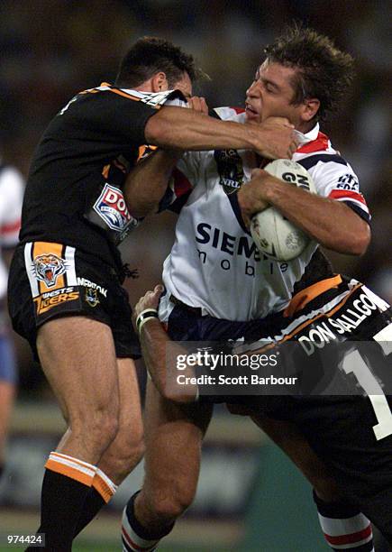 Luke Ricketson Body 216 Luke Ricketson Roosters Stock Photos, High-Res Pictures, and Images ...