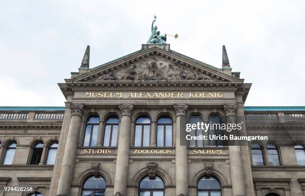 Bonn at the Rhine river, the former federal capital and since the move of the federal government to Berlin, federal city. Exterior view Museum...