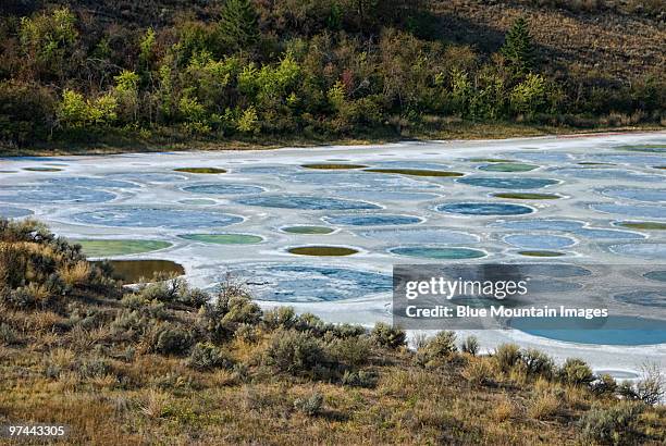 healing circles - alkaline stock pictures, royalty-free photos & images