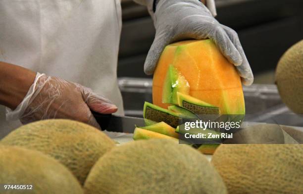 man's hands with plastic gloves peeling cantaloupe - カンタロープメロン ストックフォトと画像