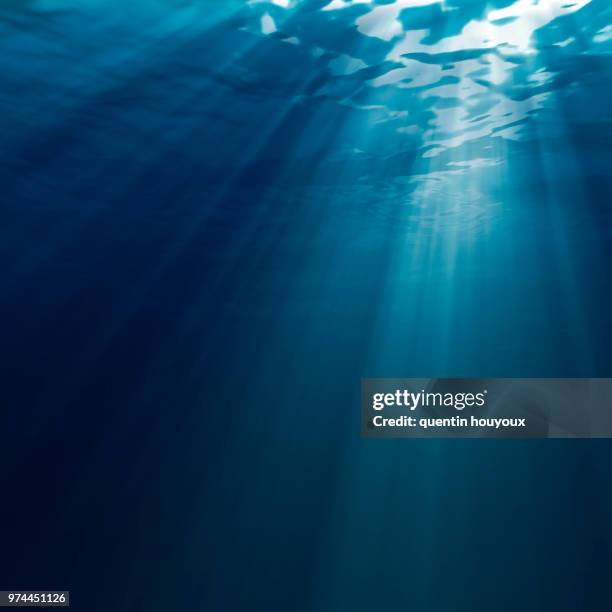 underwater light - unterwasseraufnahme meer sonne stock-fotos und bilder